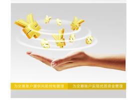 四川鼎枫金服商务信息咨询 专业服务助力企业发展